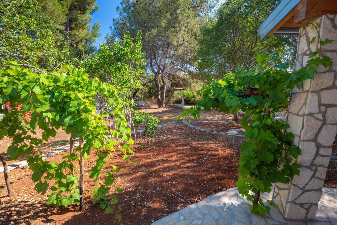 Al Pino Blue Property Premantura Dış mekan fotoğraf